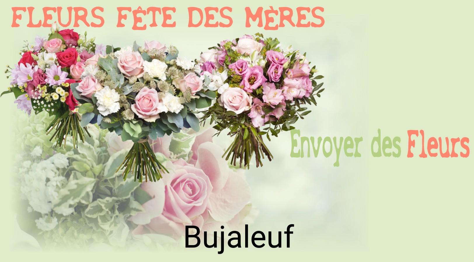 Bouquet de Fête des Mères livré à Bujaleuf